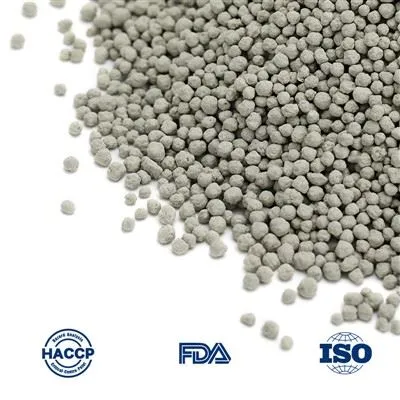 Best Bentonite Cat Litter